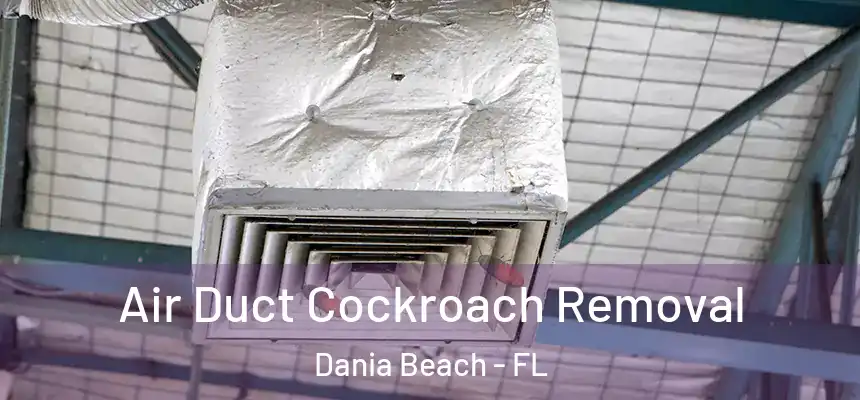 Air Duct Cockroach Removal Dania Beach - FL