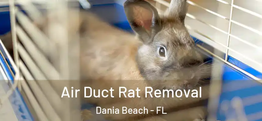  Air Duct Rat Removal Dania Beach - FL