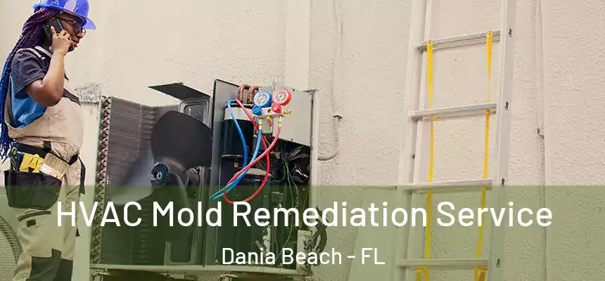  HVAC Mold Remediation Service Dania Beach - FL