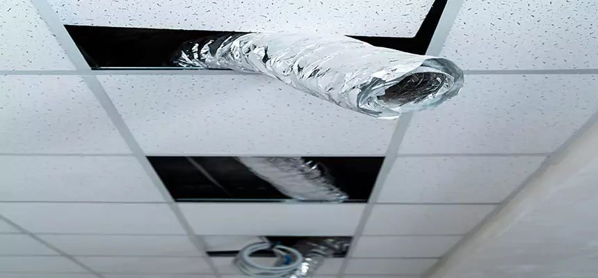 Our Air Duct Pet Hair Removal Services in Dania Beach, FL