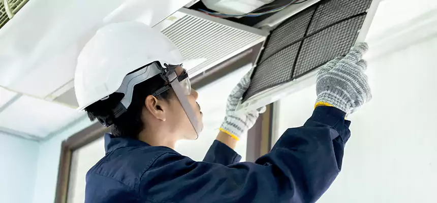 Our Mold & Mildew Removal from Air Ducts Services in Dania Beach, FL