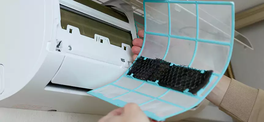 Gentle Ductwork Odor-Control Pet Dander Duct Cleaning in Dania Beach, FL