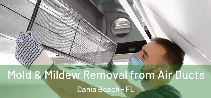 Mold & Mildew Removal from Air Ducts Dania Beach - FL