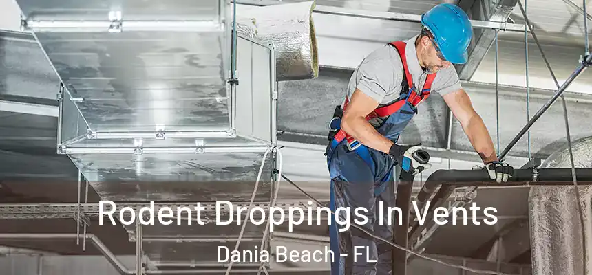 Rodent Droppings In Vents Dania Beach - FL