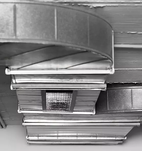 Professional Air Duct Pest Removal in Dania Beach, FL