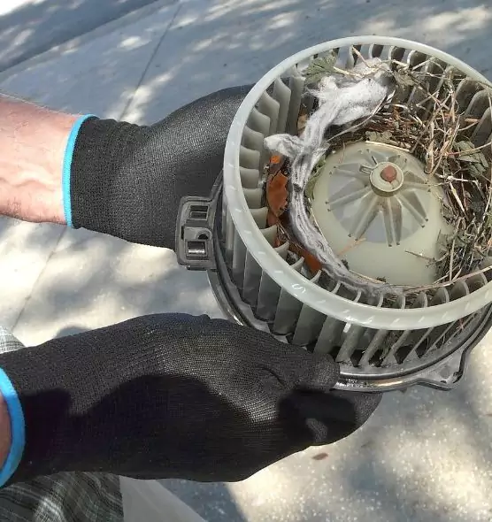 About Air Duct Rat Removal in Dania Beach, FL