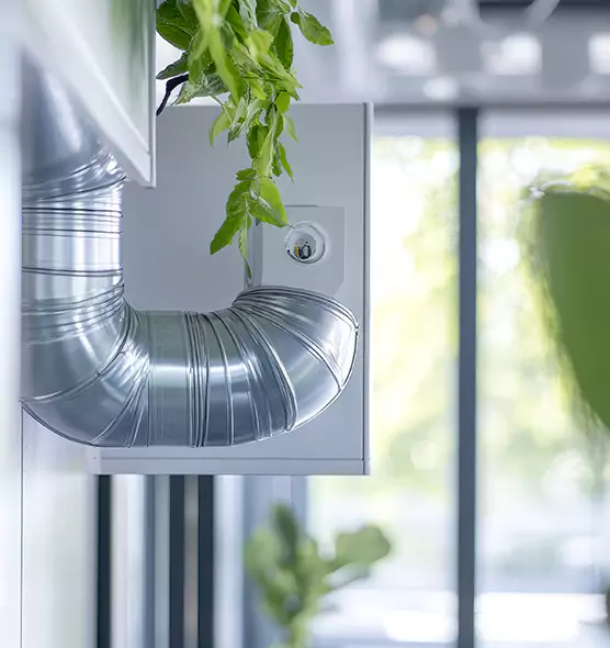 Professional Eco-Safe Dryer Vent Cleaning in Dania Beach, FL