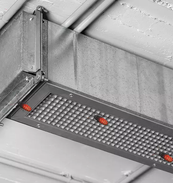 Affordable Insect Removal from Air Ducts in Dania Beach, FL