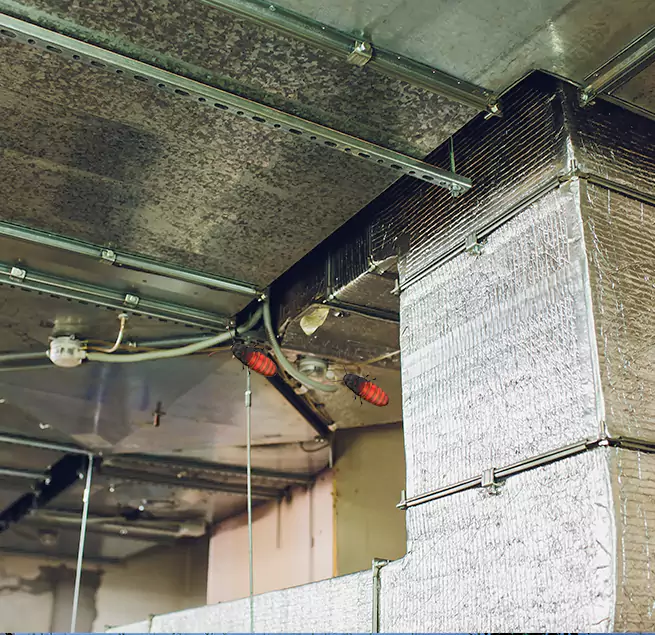 Why Homeowners & Businesses Trust Us in Dania Beach, FL?