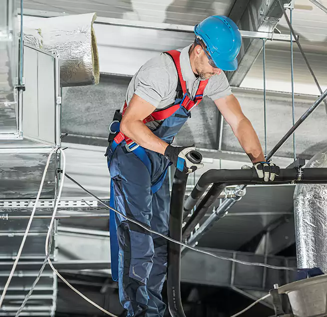 Why Homeowners & Businesses Trust Us in Dania Beach, FL?