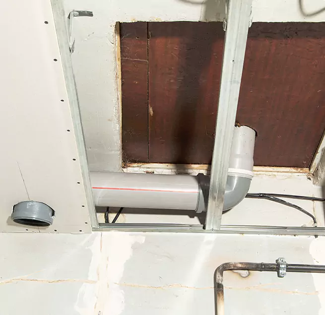 Why Homeowners & Businesses Trust Us in Dania Beach, FL?