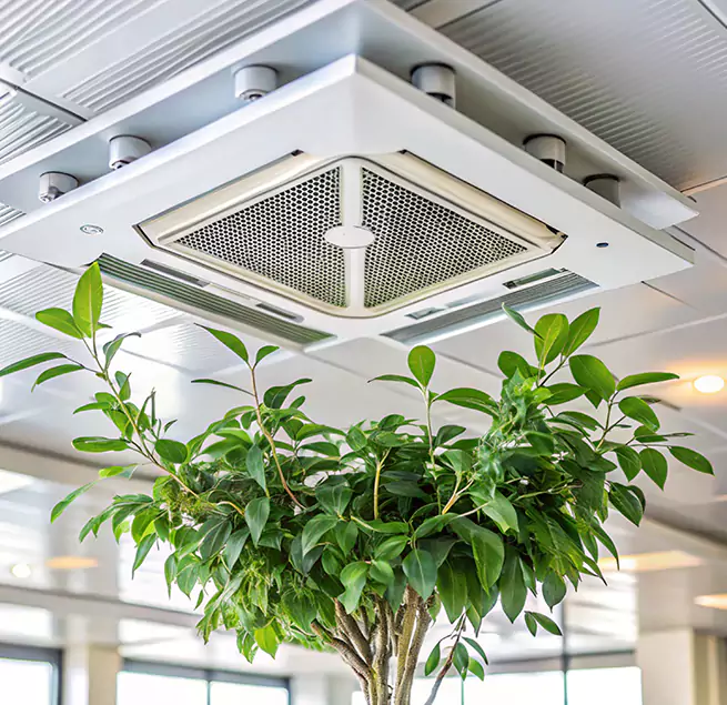 Why Homeowners & Businesses Trust Us in Dania Beach, FL?