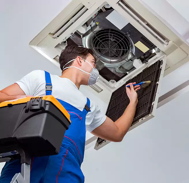 Why Homeowners & Businesses Trust Us in Dania Beach, FL?