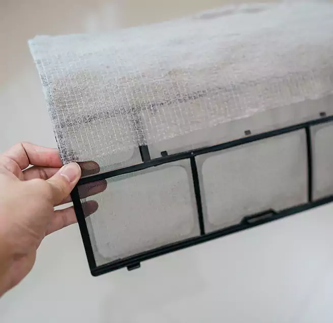 Why Homeowners & Businesses Trust Us in Dania Beach, FL?