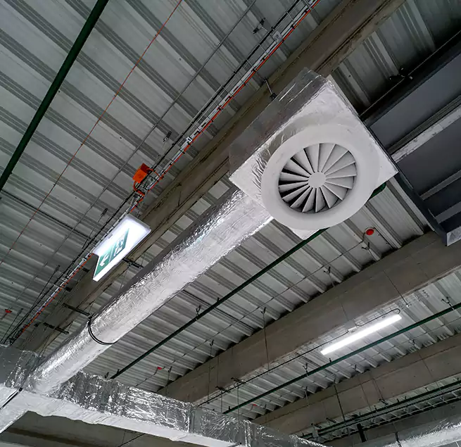 Why Homeowners & Businesses Trust Us in Dania Beach, FL