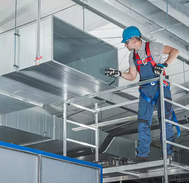 Why Homeowners Businesses Trust Us in Dania Beach, FL