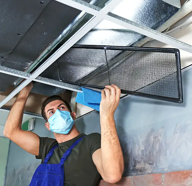 Why Homeowners & Businesses Trust Us in Dania Beach, FL?