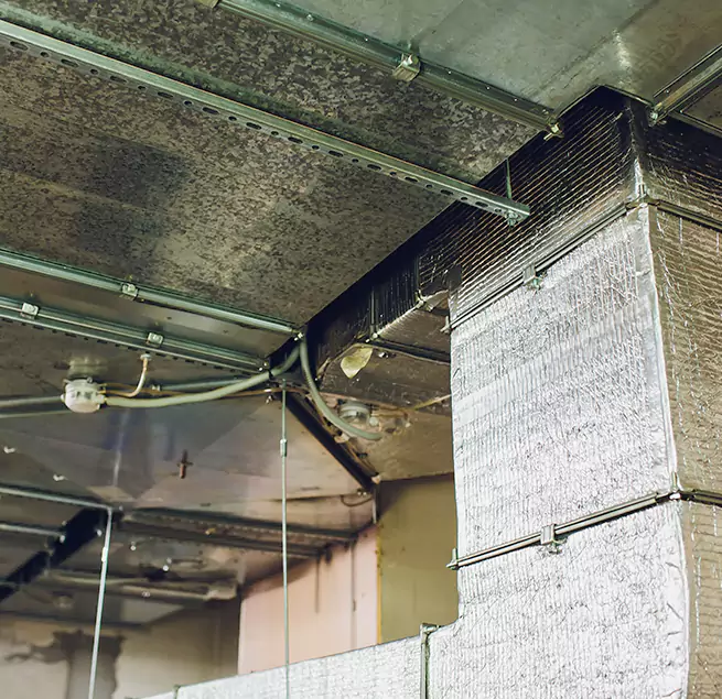 Why Homeowners & Businesses Trust Us in Dania Beach, FL?