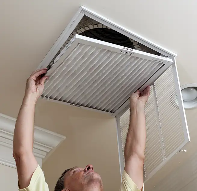 Why Homeowners & Businesses Trust Us in Dania Beach, FL?