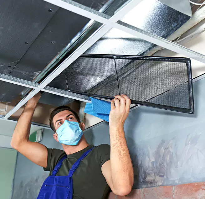 Why Homeowners & Businesses Trust Us in Dania Beach, FL?